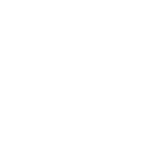 chicago marathon